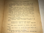 1929 Радість Поета Козолупенка Весела Українська Книжка, фото №8