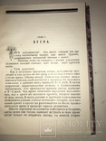 1931 Охота на Дичь 4 книги в одной, фото №6