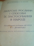 Лекарственные растения, фото №5