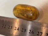 Полированный камень янтаря (5), фото №5