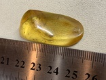 Полированный камень янтаря (7), фото №3