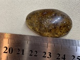 Полированный камень янтаря (11), фото №3
