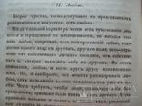 1847 г. Рыцарство, романтизм, любовь (В.Ф. Гегель "Эстетика"), фото №12