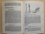 Азбука садовода. 1989. 495 с., ил. 8 л. ил., фото №6