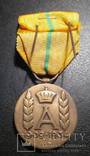 Бельгія. Пам'ятна медаль короля Альберта (М-741)., фото №5
