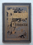 Родные отголоски. Сборник стихотворений, 1881., фото №2