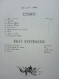 Родные отголоски. Сборник стихотворений, 1881., фото №6