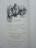 Родные отголоски. Сборник стихотворений, 1881., фото №7