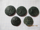 5 монет Пантикапея, фото №2