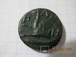 5 монет Пантикапея, фото №5