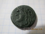 5 монет Пантикапея, фото №6