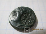 5 монет Пантикапея, фото №8