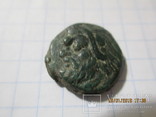 5 монет Пантикапея, фото №12