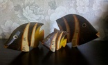 Рыбы набор Индонезия, фото №3