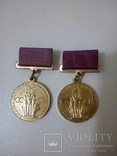 Медаль Выставка достижений народного хозяйства СССР, фото №2
