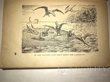 1936 Фантастика Прижизненное Издание Динозавры Плутония, фото №7