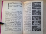 Азбука вязания. 1992 224 с. ил., фото №6