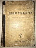 1913 Животноводство Сельское Хозяйство Издание Девриена, фото №10