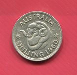 Австралия 1 шиллинг 1960 серебро, фото №2