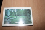 Павловск 1988 год, фото №6