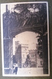 Алупка вьезд во дворец 1928, фото №2