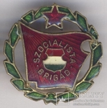 Социалистическая бригада Венгрия (№319), фото №4