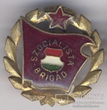 Социалистическая бригада Венгрия (№319), фото №5