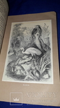 1866 Жизнь птиц с 27 цветными иллюстрациями, фото №10