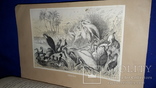 1866 Жизнь птиц с 27 цветными иллюстрациями, фото №13