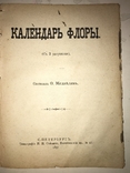 1891 Календарь Флоры Медведева, фото №2