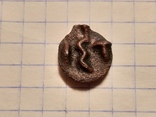 Монета Истрии, "колесико"., фото №3