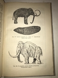1934 Книга Коллекционера Окаменелостей Палеофаунистика Динозавры, фото №3