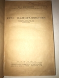 1934 Книга Коллекционера Окаменелостей Палеофаунистика Динозавры, фото №8