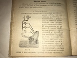 1900 Лечение Водой Народное Здоровья, фото №9