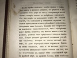 1876 Древние Классики Плиний, фото №7