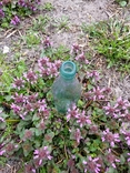 Польська пляшка з горілки, фото №2