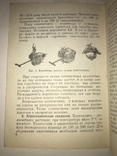 1951 Коллекция Хлопчатник Минералы и Горные Породы, фото №11