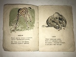 1938 Мой Зоосад Детская красочная книга, фото №9