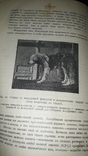 1908 Анатомия и физиология человека, photo number 8