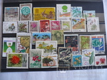 100 марок Флора разных стран, фото №4