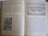 Земля и ее народы. ( четвертый том ), фото №4