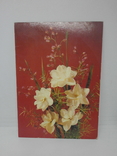 Открытка 1990 Цветы. Нарциссы. чистая, фото №2