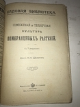 1914 Как вырастить Лимоны и Апельсины в комнате, фото №10