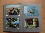Два альбома с открытками 250 шт, фото №4