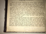 1875 Жизнь Птиц Книга с Шикарными гравюрами, фото №10