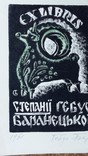 Гебус - Баранецька Ексл. власний 1961, фото №6