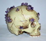 Хрустальный череп, фото №3