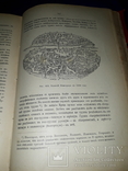 1898 Доисторическая археология Европы и в частности славянских земель, фото №11