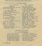 Программа патриотических вечеров М. И. Горленко-Долиной. Петроград., фото №9