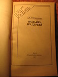 Мозаика из дерева, фото №4